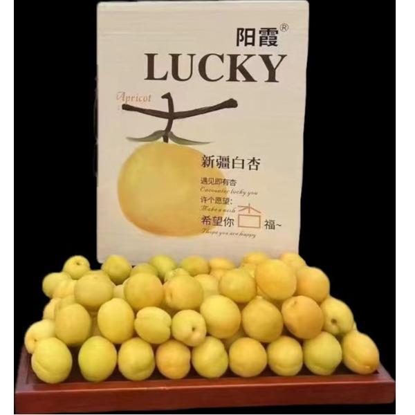 民间造物新疆小白杏4斤礼盒装