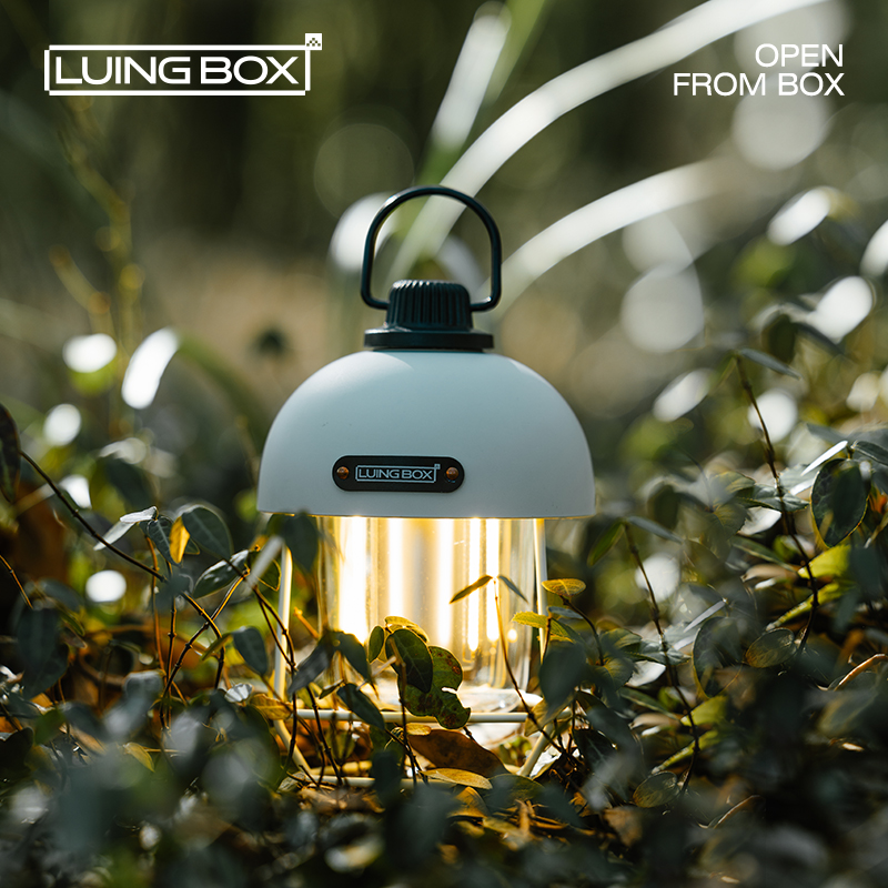 LUINGBOX流萤花瓶灯LB12130504