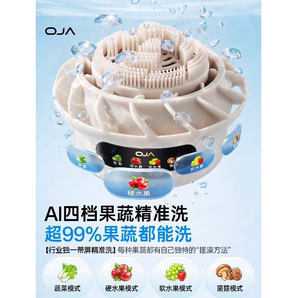 OJA果蔬清洗机食材净化家用GS11