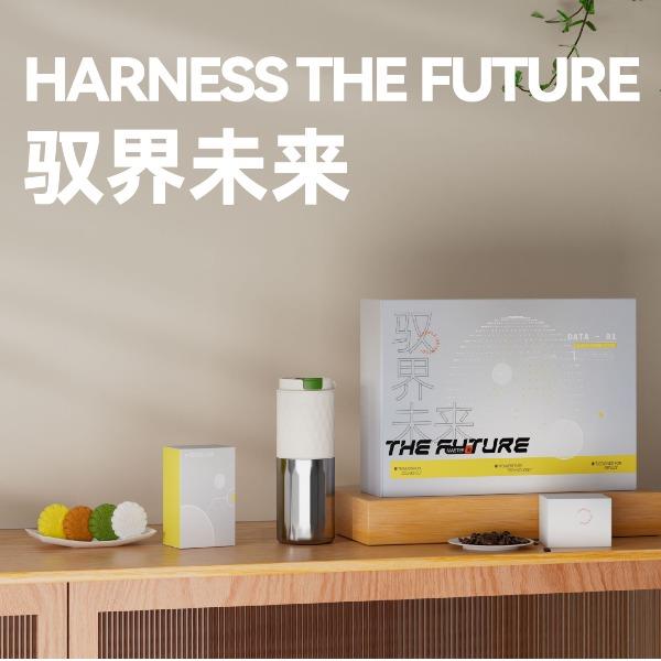 长青兔文创中秋驭界未来东菱联名款