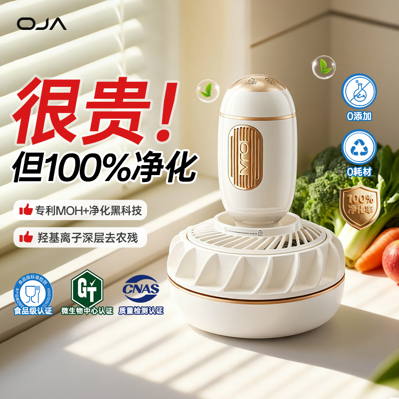 OJA果蔬清洗机食材净化GS16