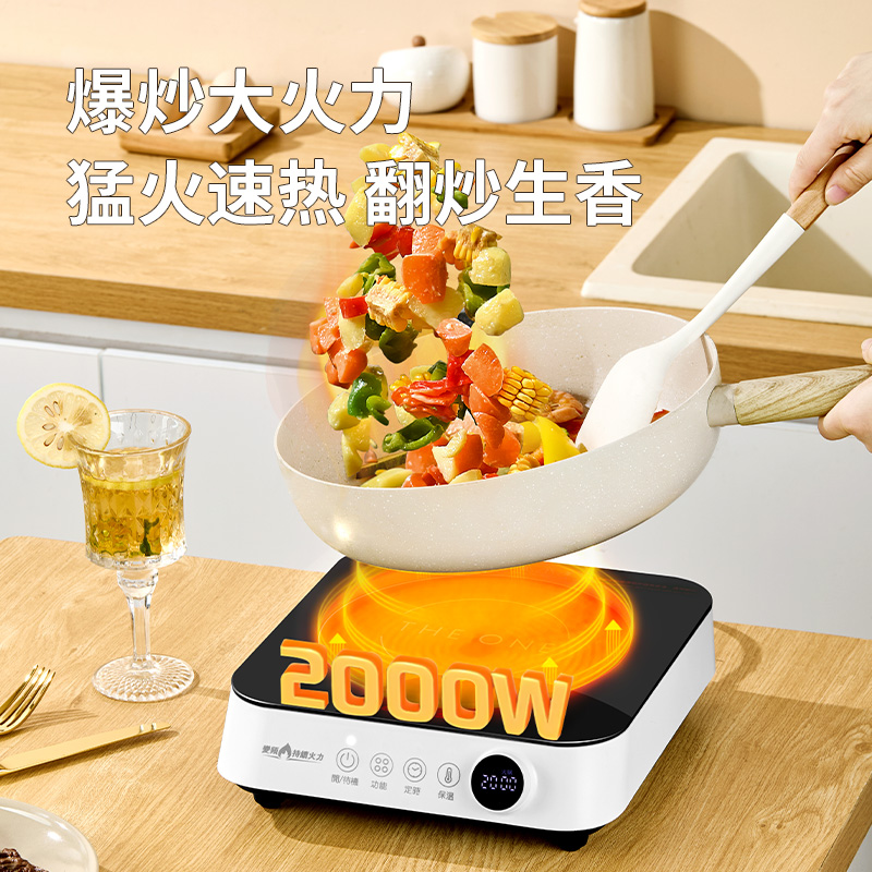 欧美达多功能电陶炉WG200-DTL-CL10