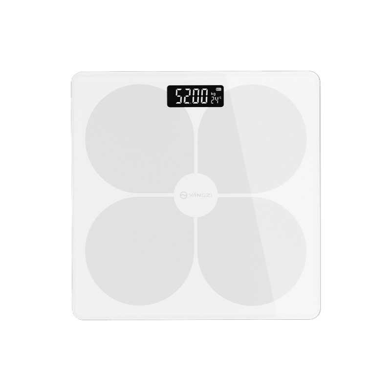 扬子C101体重秤（四叶草白色）电池