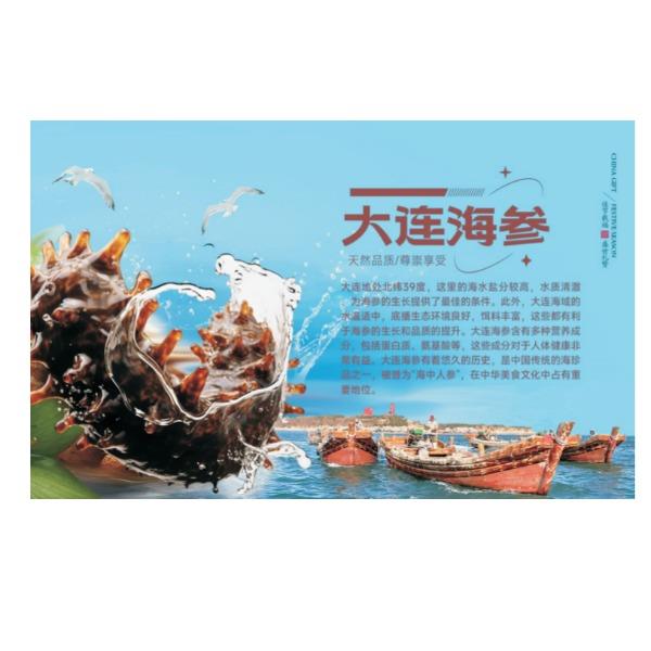 食鲜工坊大连海参B型898型