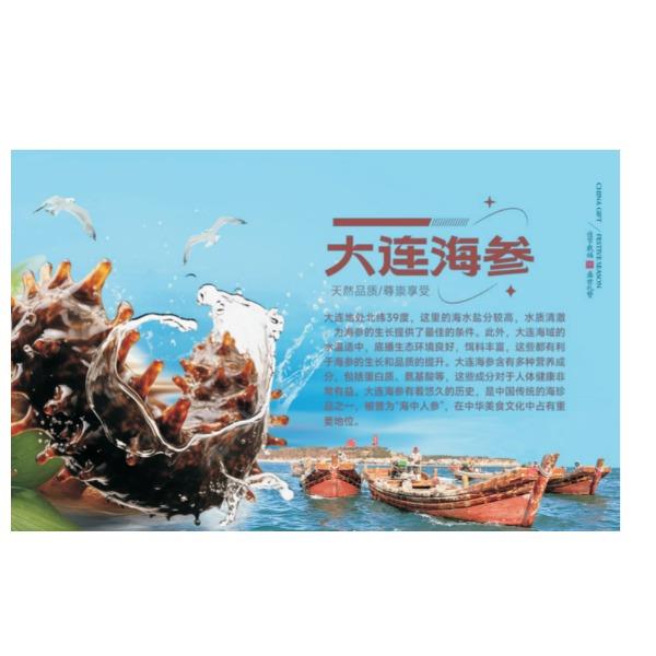 食鲜工坊大连海参D型