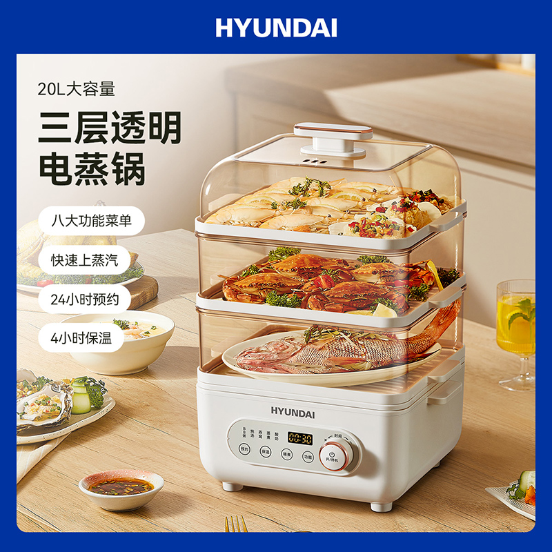 韩国现代HYUNDAI电蒸锅AEM-DZG6