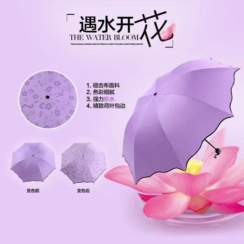 ALiya遇水开花4节