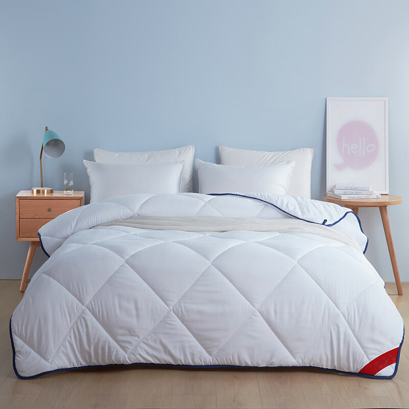 梦洁五星级大豆羽丝绒厚被1010289098