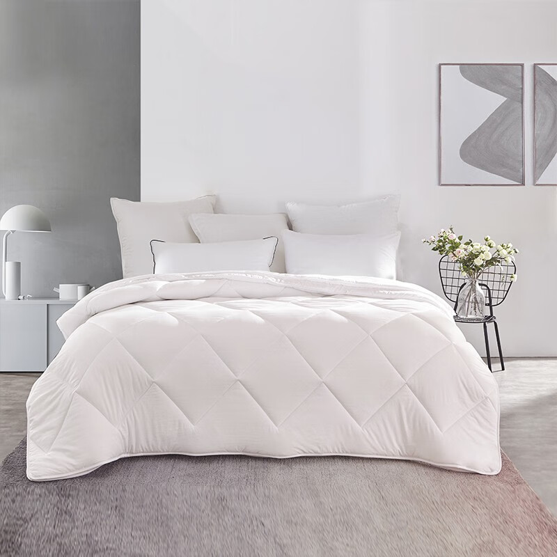 梦洁舒柔蓬弹二合一被1010289062