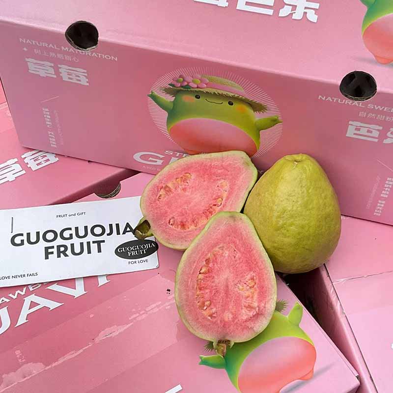 树上熟草莓红心芭乐