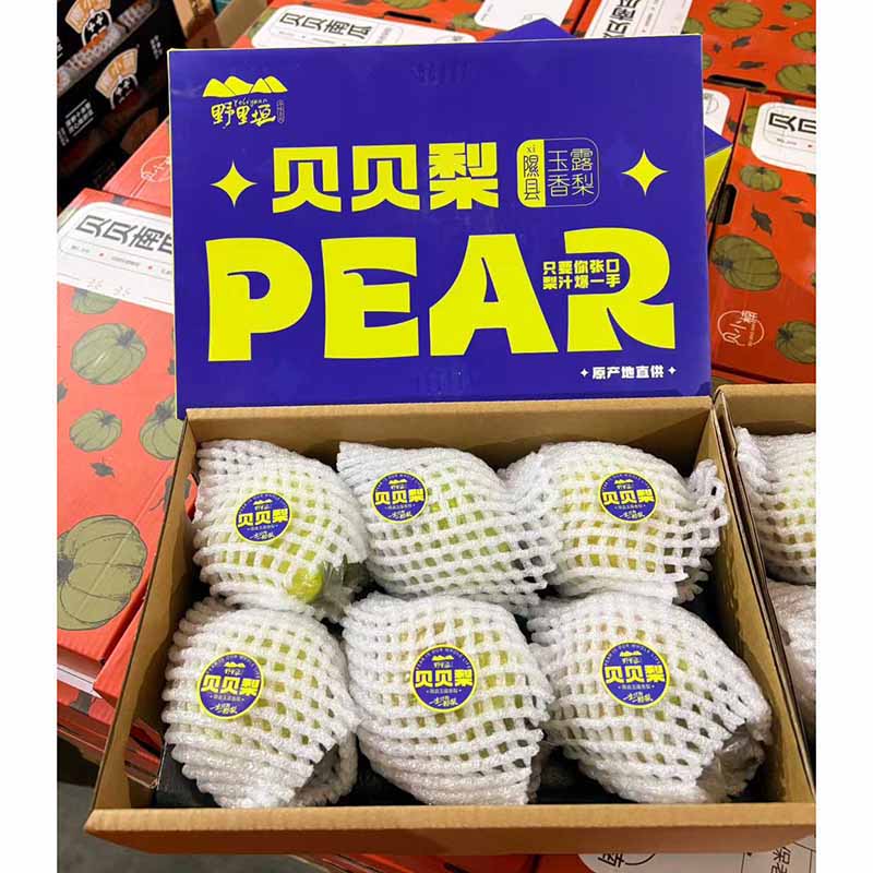 山西隰县玉露香梨