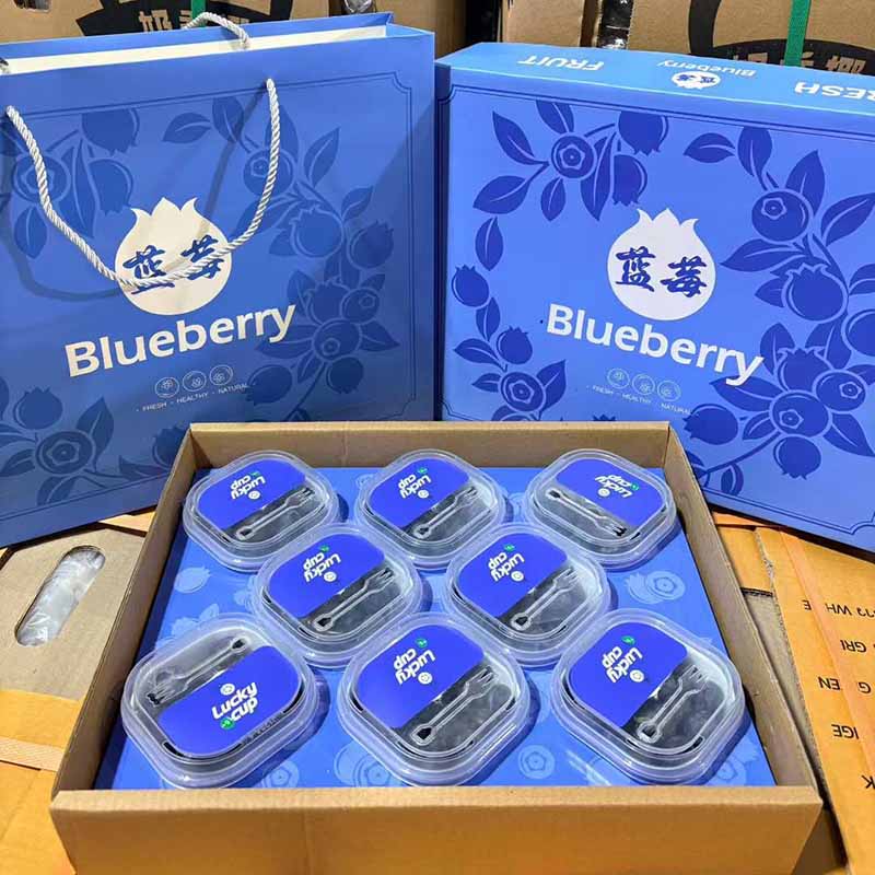 L25花香蓝莓礼盒