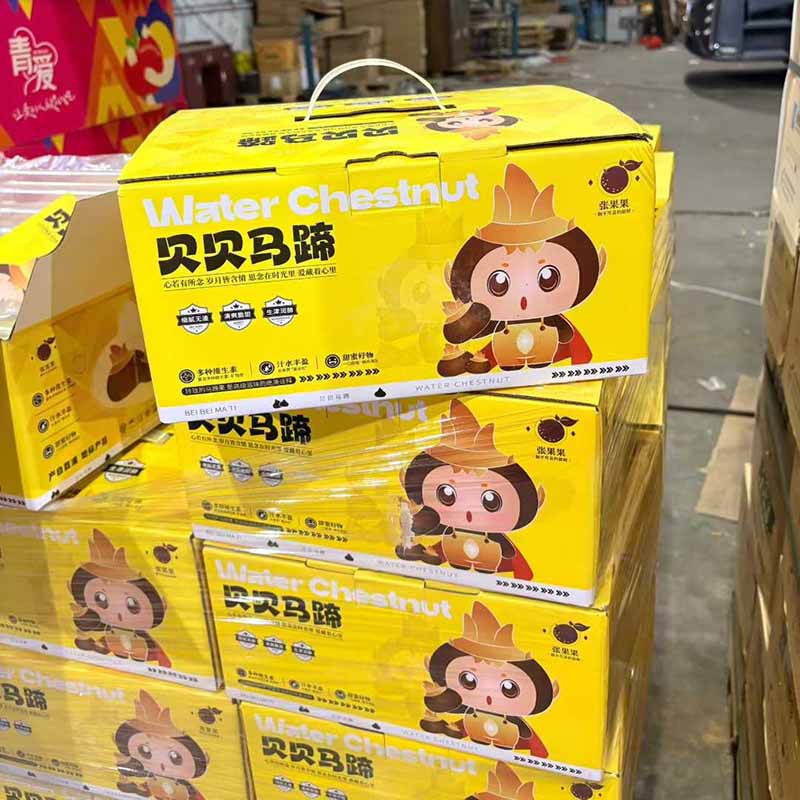 【贝贝马蹄｜地下雪梨