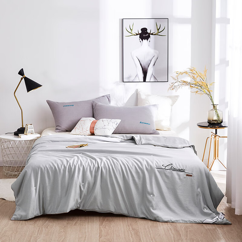 天琴水韵蚕丝被TQ-B068