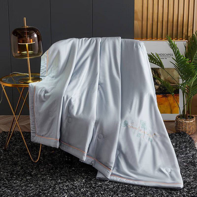 北极绒BJRB511御景天丝被200x230cm