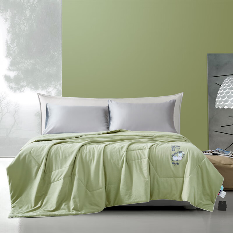 天琴棉小泡夏被TQ-B116