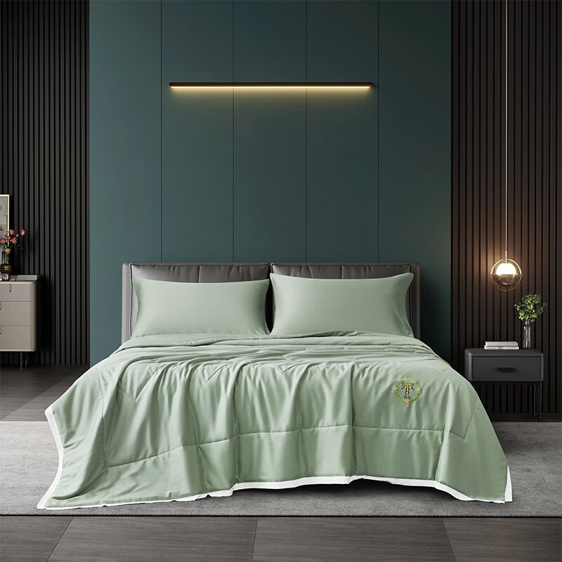 天琴缪斯千寻夏被TQ-B112