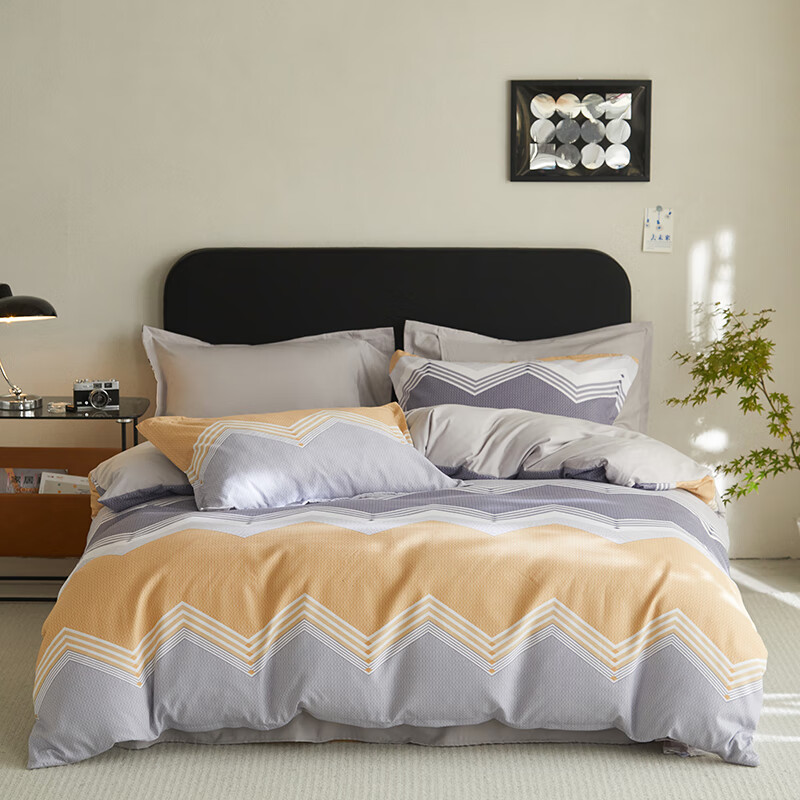 杉杉家纺加厚阳绒四件套-威利斯SS-TJ2503