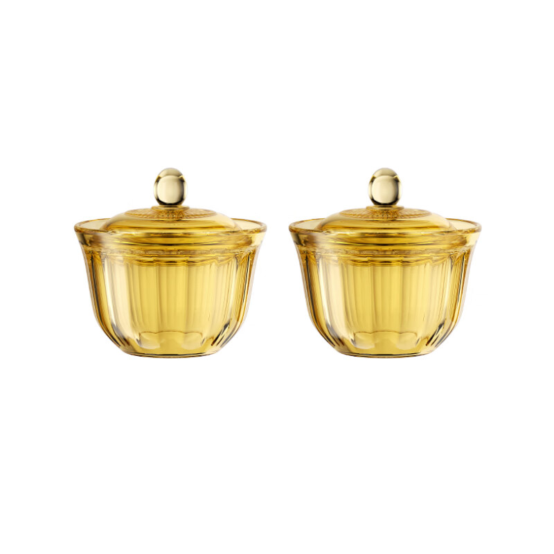 CLARA克拉拉晶钻玻璃炖盅450ml（2炖盅）