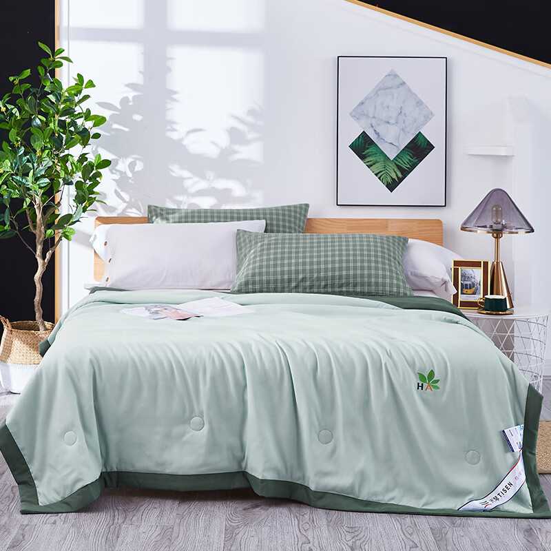 天琴时尚巴黎玻尿酸夏被TQ-B073