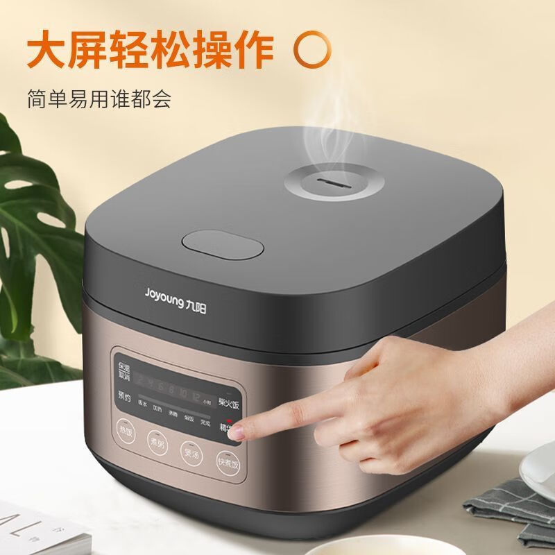 九阳智能饭煲F30FZ-F4170