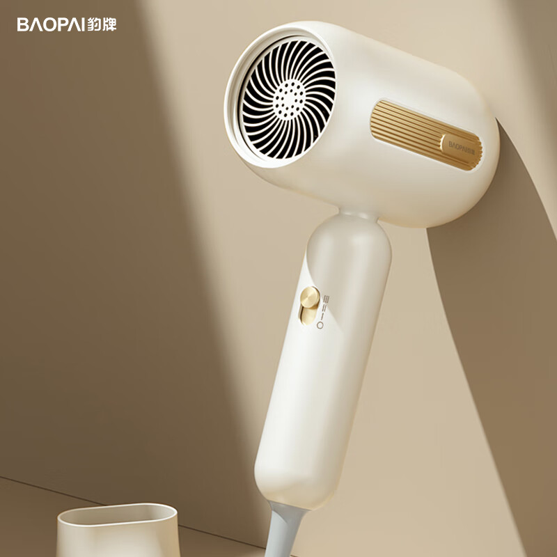 豹牌高转速电吹风BP-HD295