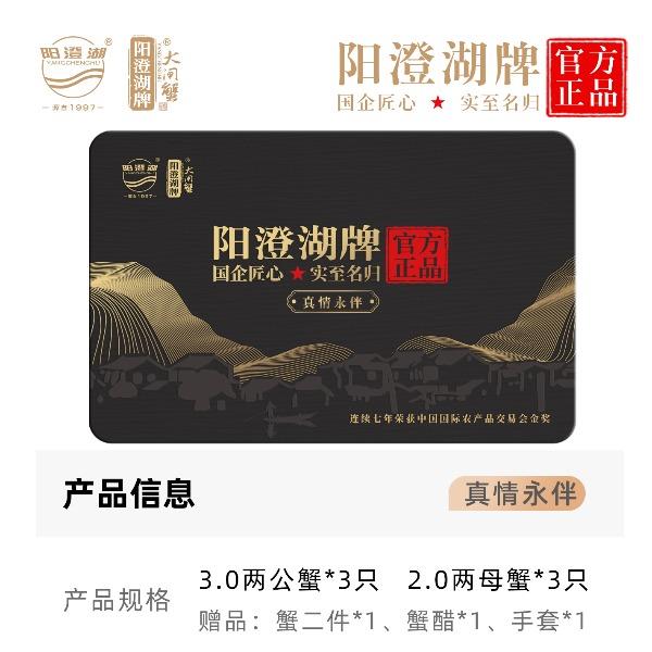阳澄湖大闸蟹真情永伴558