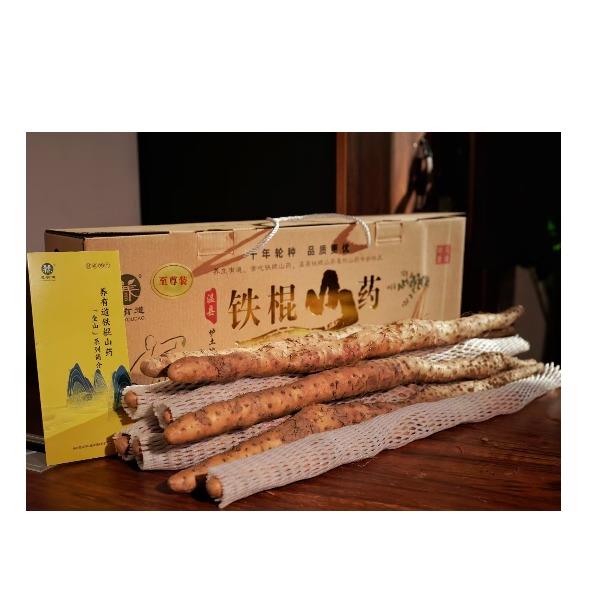 养有道铁棍山药“金山”