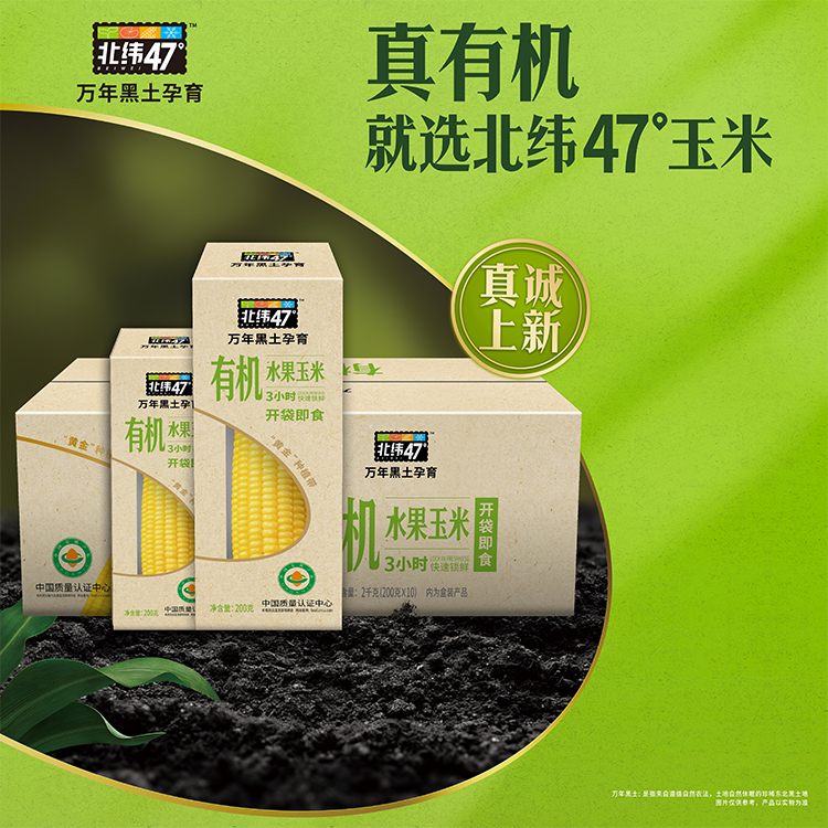 北纬有机水果鲜玉米10只（盒装）