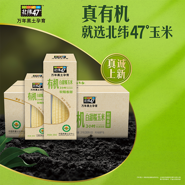 北纬有机白糯玉米10只（盒装）