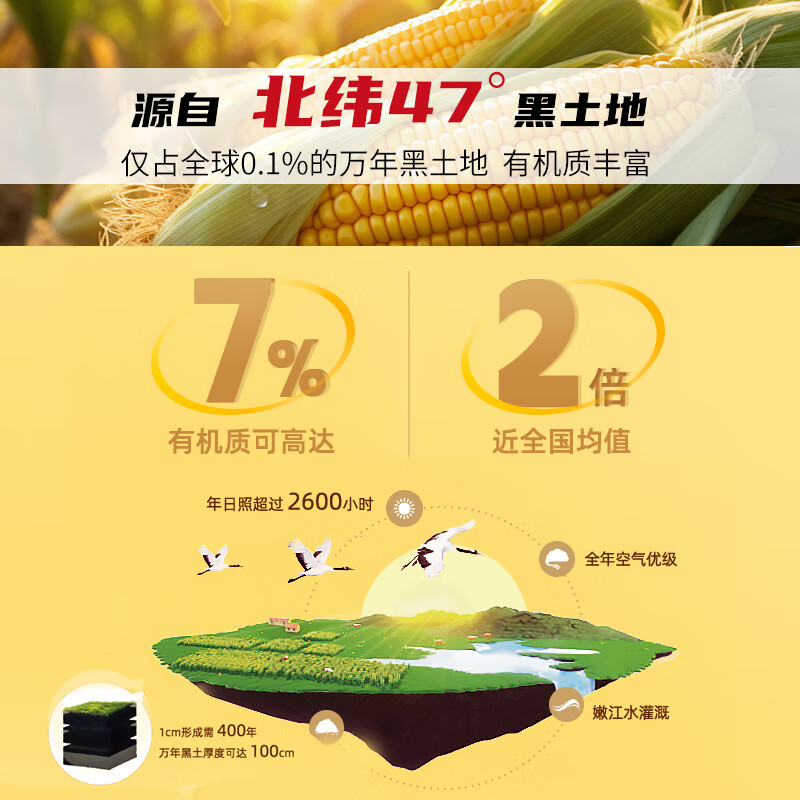 北纬烧烤玉米*12袋