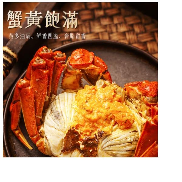 叮咚盒子大闸蟹