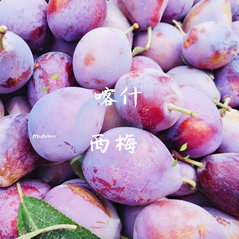 喀什·法兰西西梅4斤装