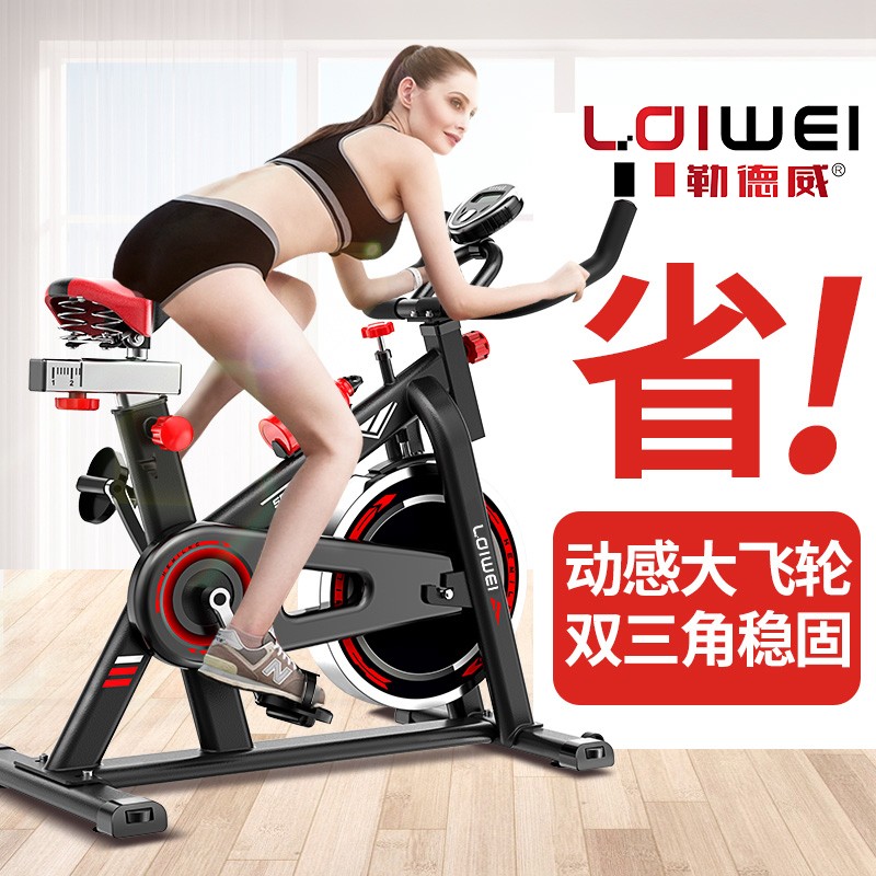 勒德威動(dòng)感單車K300家用健身器材