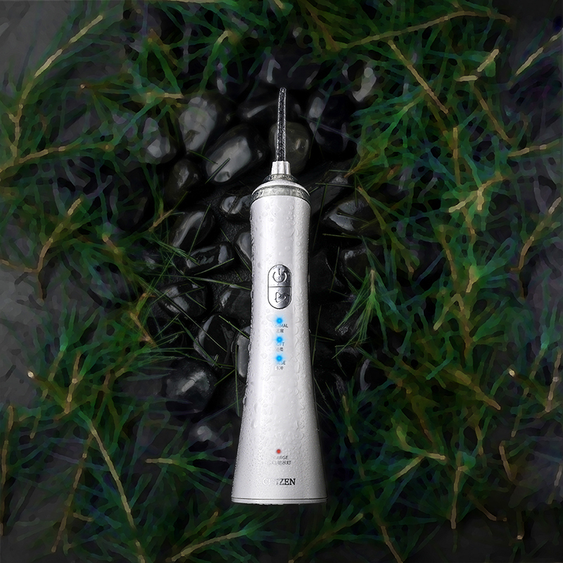 西鐵城手持式?jīng)_牙器MR501
