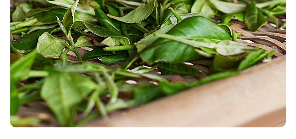 福鼎白茶大茶饼珍藏版价格