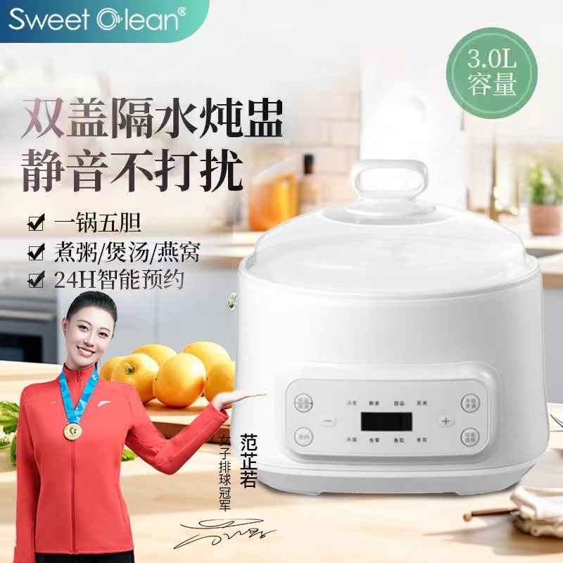 思薇科林多功能智能隔水电炖锅煲汤锅隔水炖锅电炖盅电蒸锅